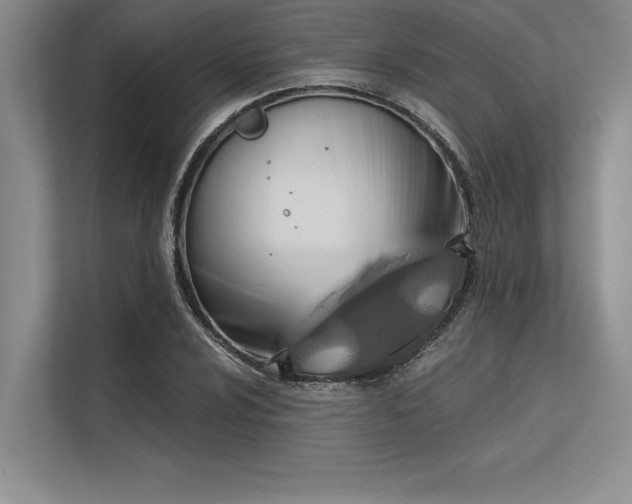 X0000113301024200909211117