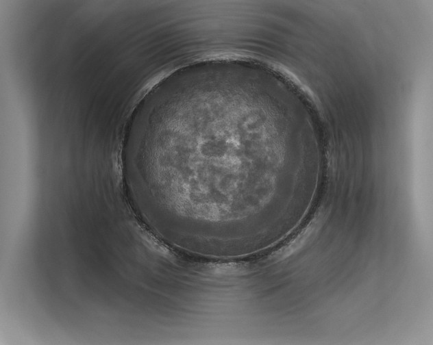 X0000113301025200909211117