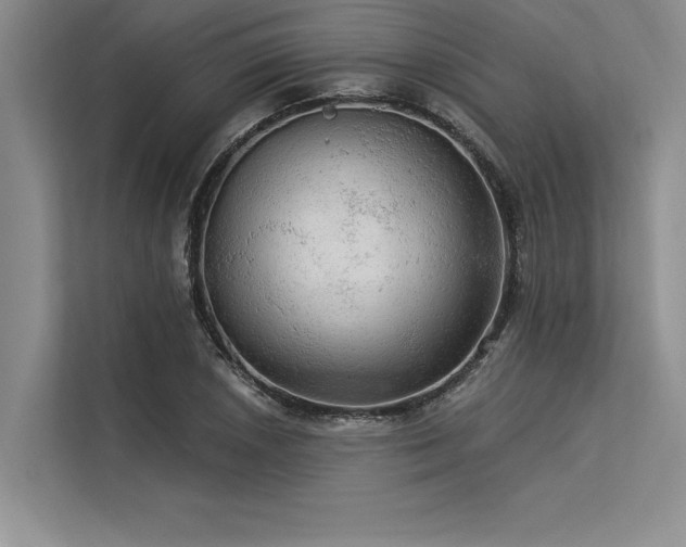 X0000113301026200909211117