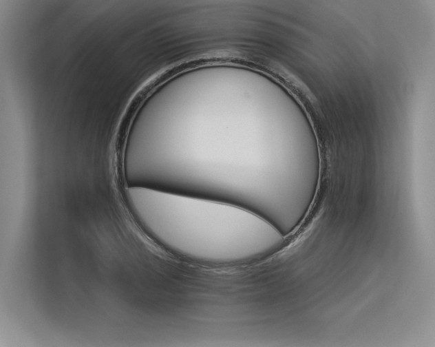 X0000113301029200909211117