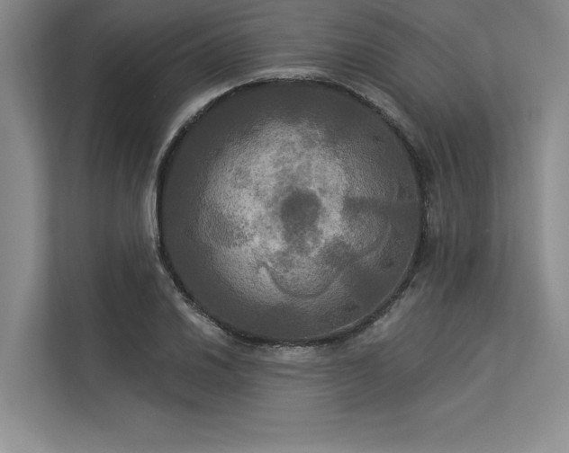 X0000113301030200909211117