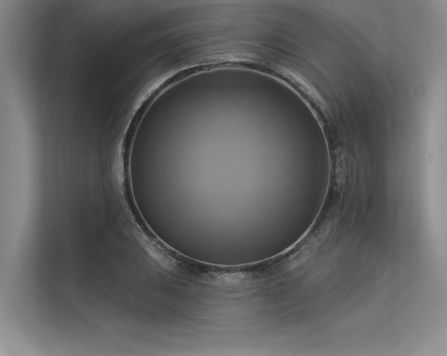 X0000113301031200909211117