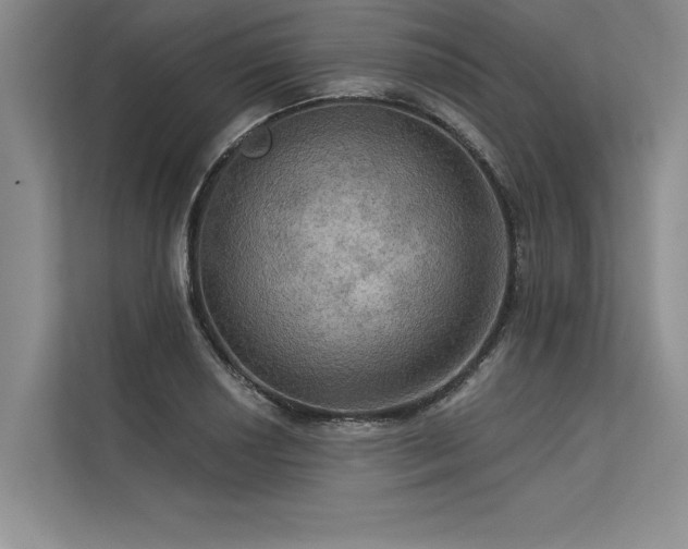 X0000113301034200909211117