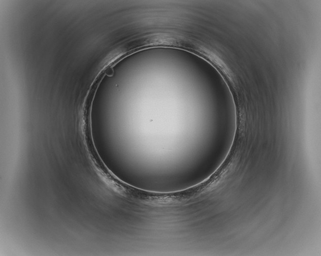 X0000113301042200909211117