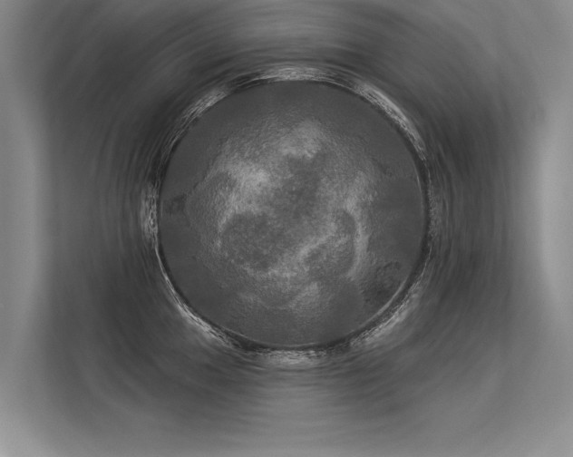 X0000113301049200909211117