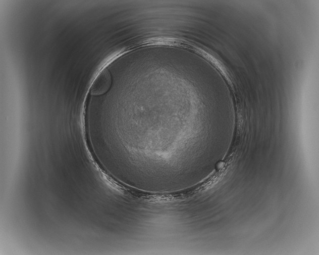 X0000113301050200909211117