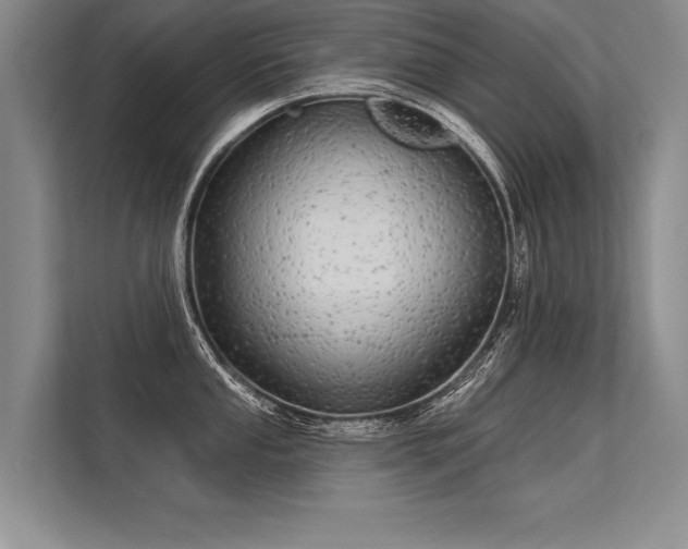 X0000113301053200909211117