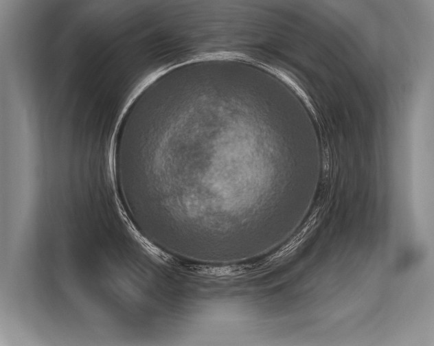 X0000113301054200909211117