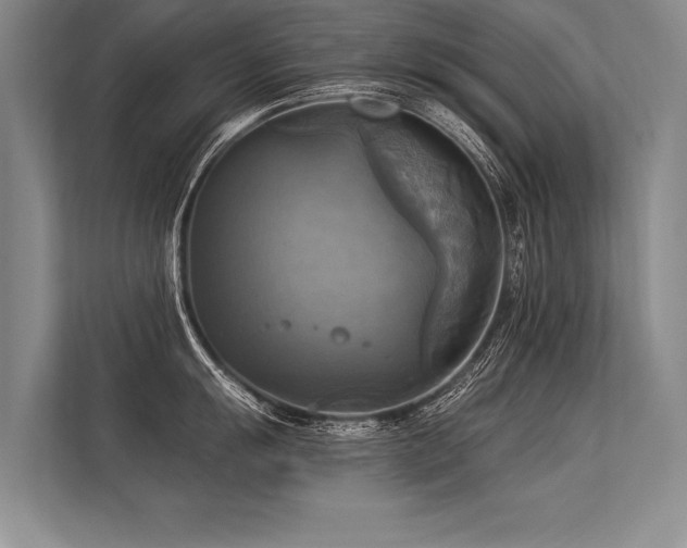 X0000113301055200909211117