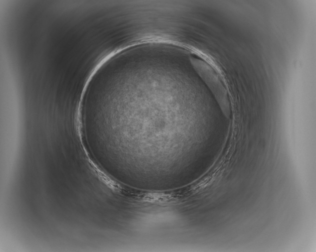 X0000113301056200909211117