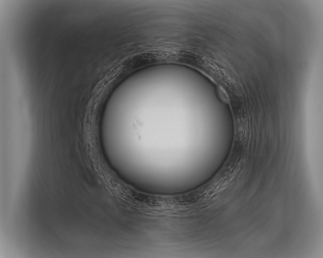 X0000113301057200909211116