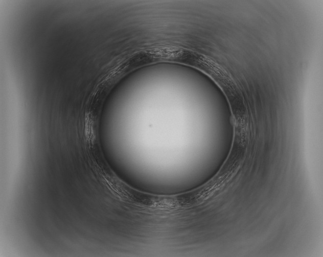 X0000113301058200909211116