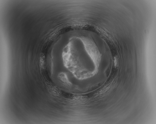 X0000113301059200909211116