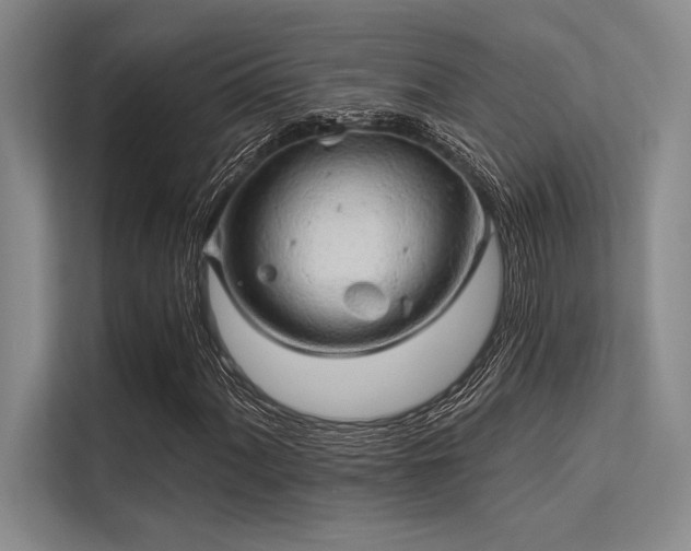 X0000113301060200909211116