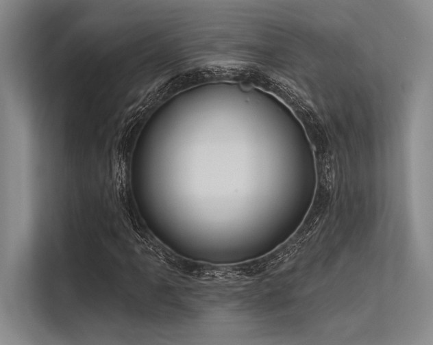 X0000113301061200909211116