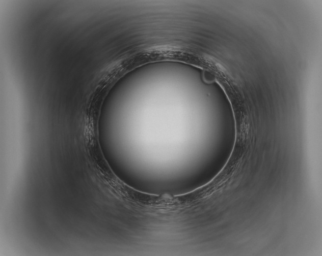 X0000113301062200909211116