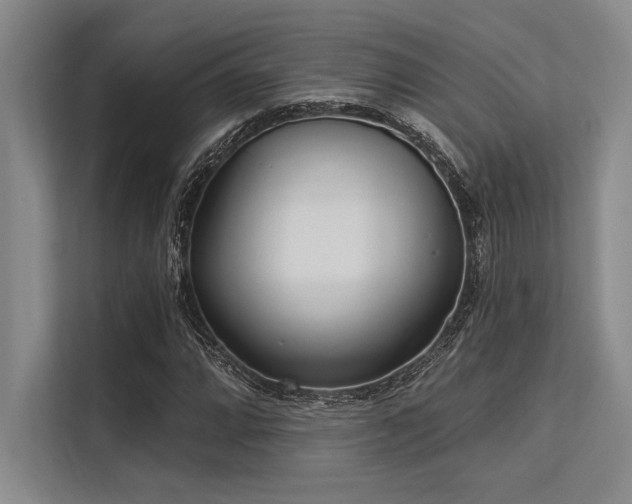 X0000113301064200909211116