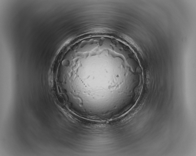 X0000113301067200909211116