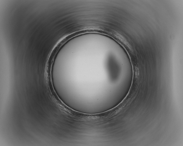 X0000113301068200909211116