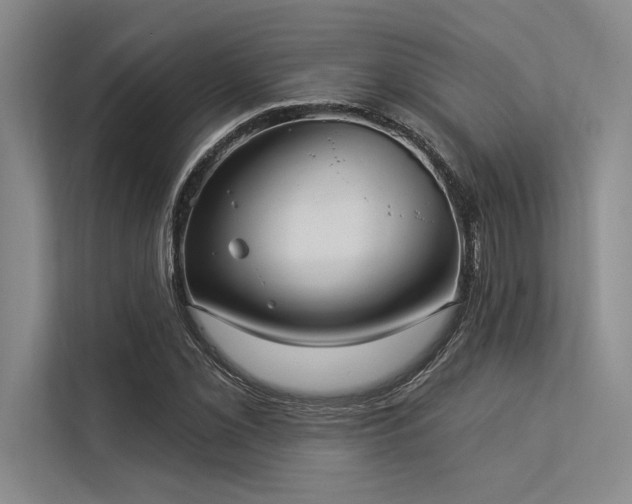 X0000113301069200909211116