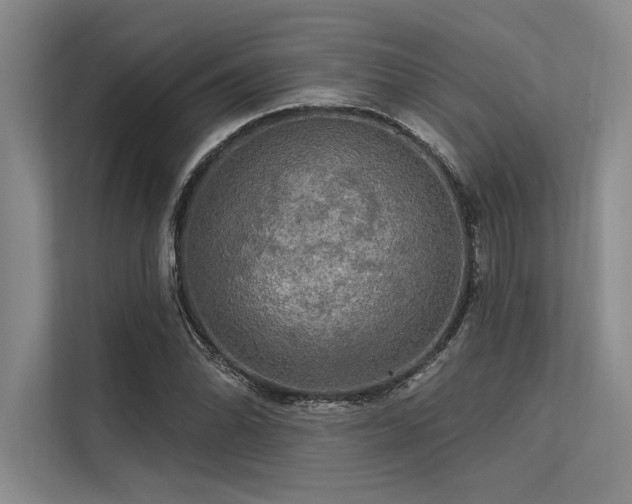 X0000113301070200909211116