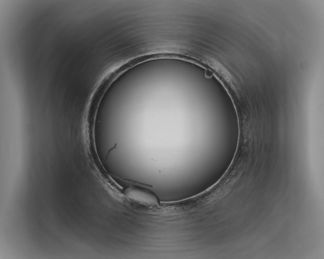 X0000113301072200909211116