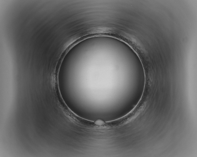 X0000113301073200909211116