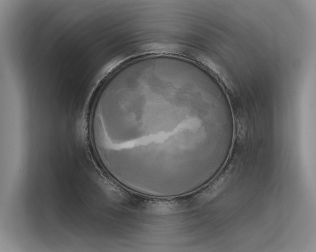 X0000113301074200909211116