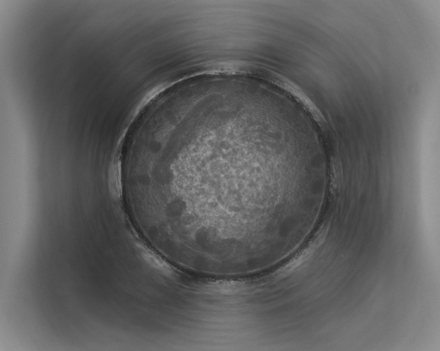 X0000113301075200909211116