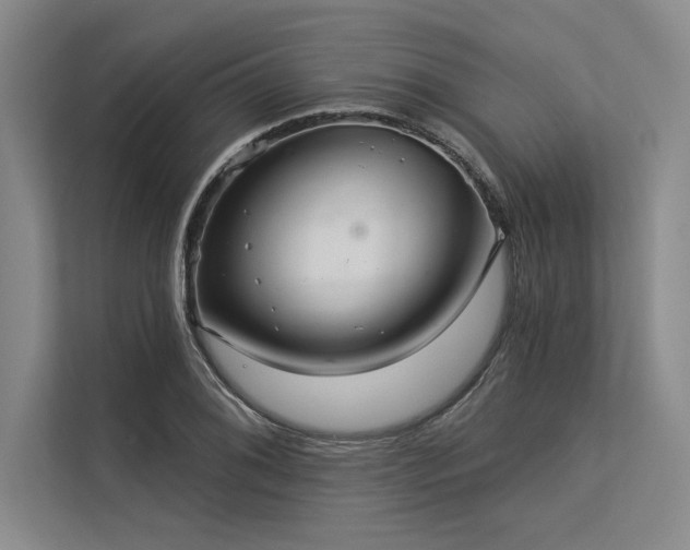 X0000113301076200909211116