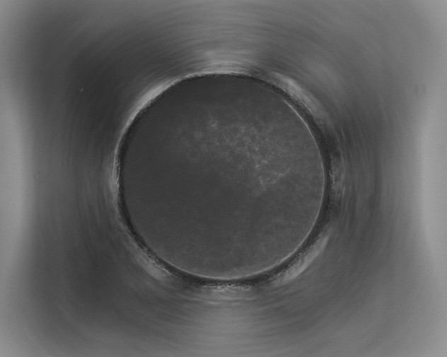 X0000113301077200909211116