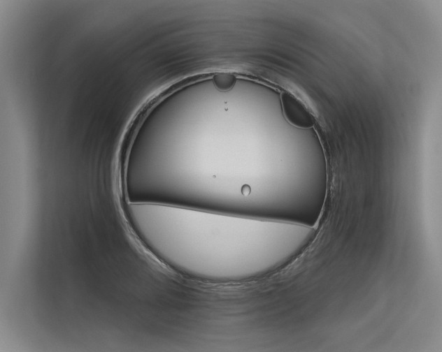 X0000113301080200909211116