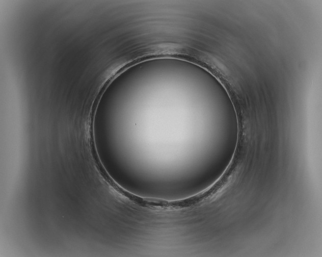 X0000113301081200909211116