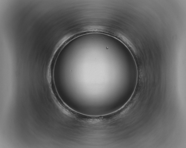 X0000113301082200909211116