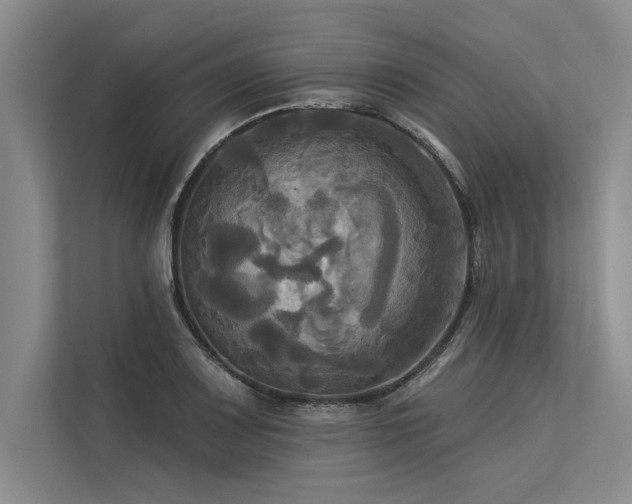 X0000113301083200909211116