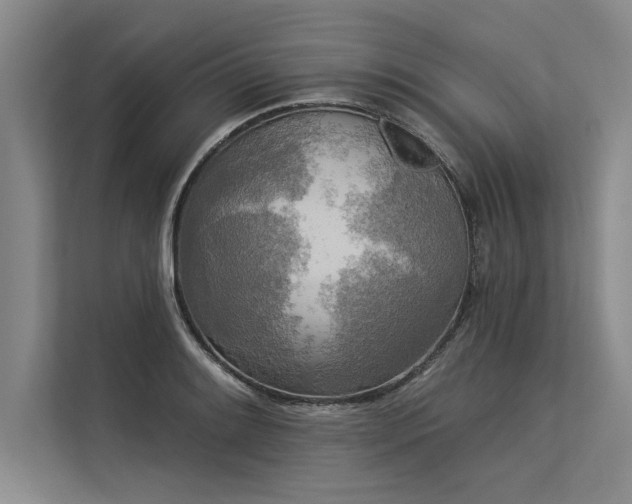 X0000113301084200909211116