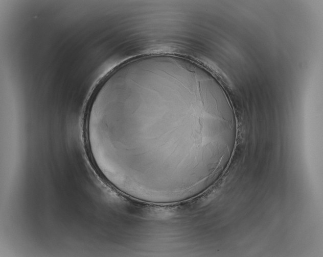 X0000113301086200909211116