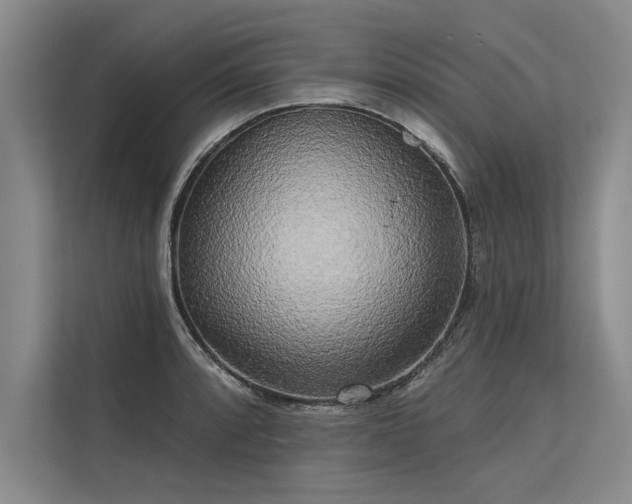 X0000113301088200909211116