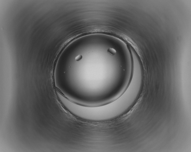 X0000113301089200909211116