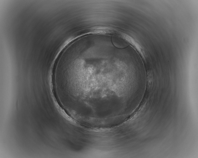 X0000113301091200909211116