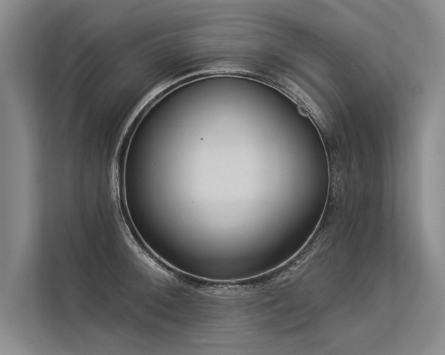 X0000113301092200909211116