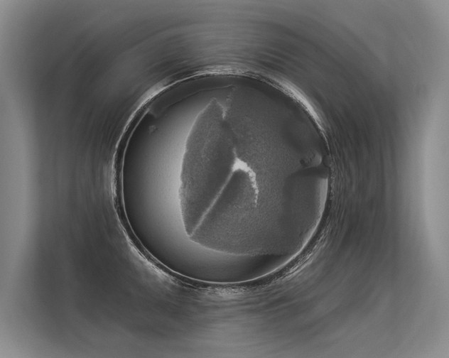 X0000113301095200909211116