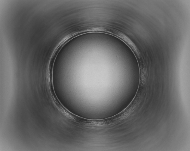 X0000113301096200909211116