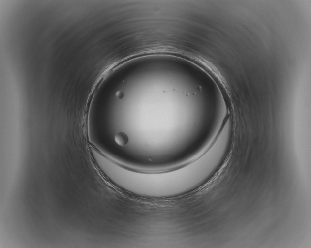 X0000113301097200909211116