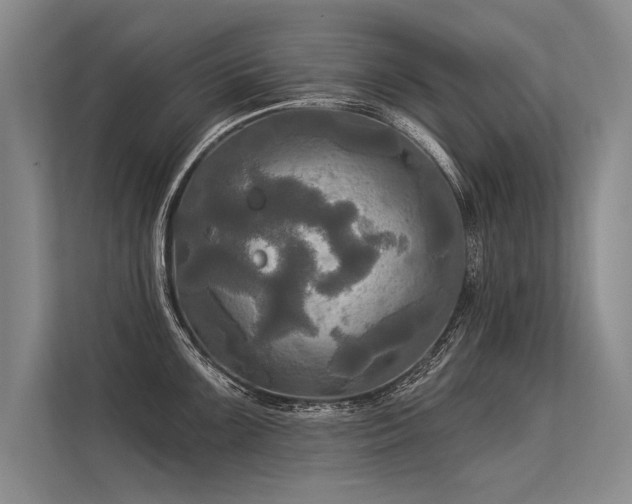 X0000113301099200909211116