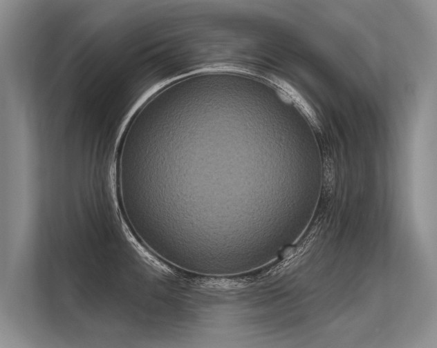 X0000113301100200909211116