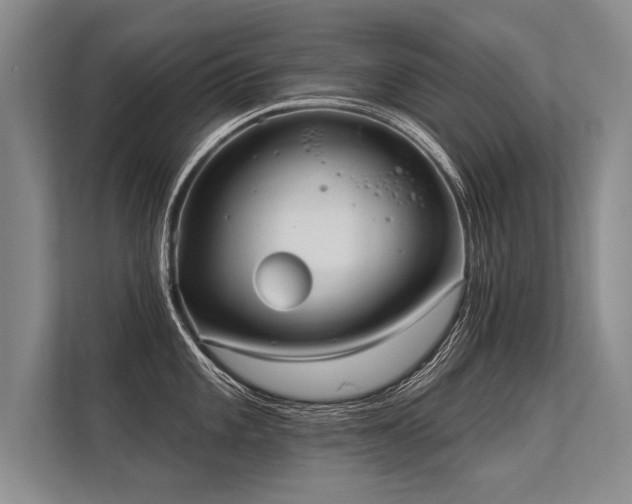 X0000113301101200909211116