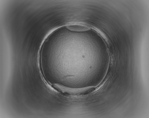 X0000113301102200909211116