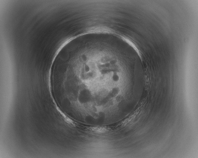 X0000113301103200909211116