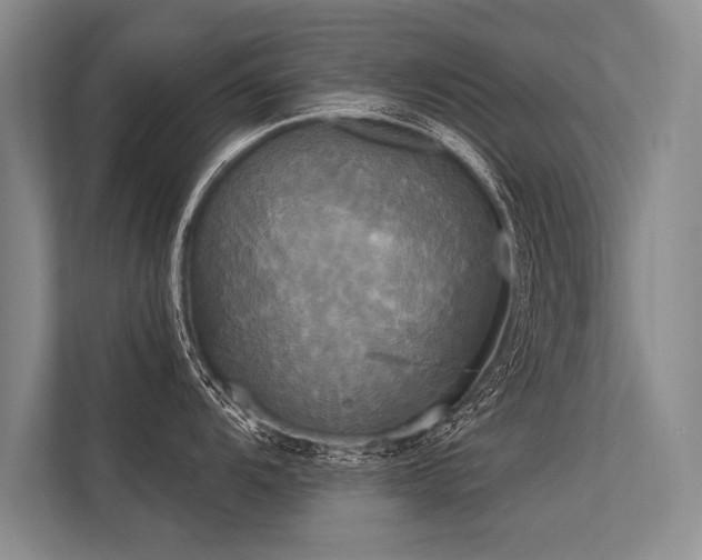 X0000113301104200909211116